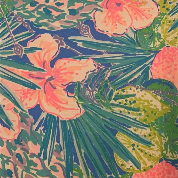 Lilly Pulitzer Finn T shirt Dress Large - Picture 2 of 9